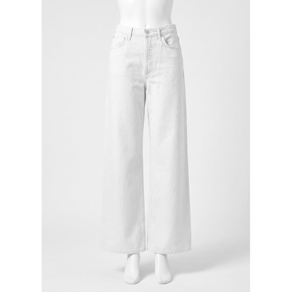 NEW AGOLDE dame high rise wide leg jeans in colina
